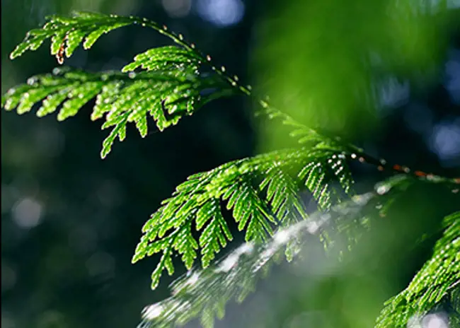 Découvrez le développement durable chez Valmet